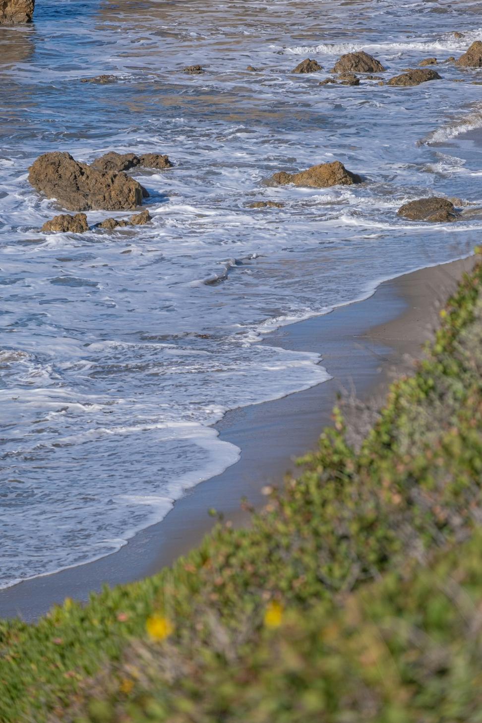 Environmental Assessment